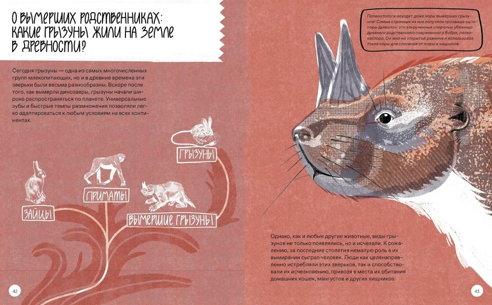 Вот так капибара!