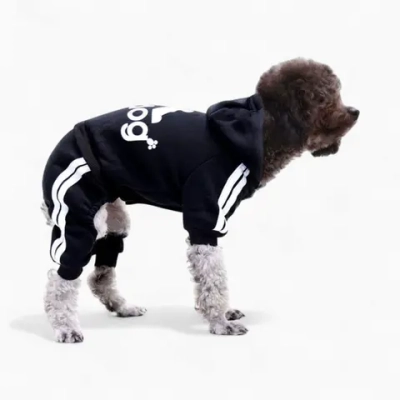 Спортивный костюм «Adidog»