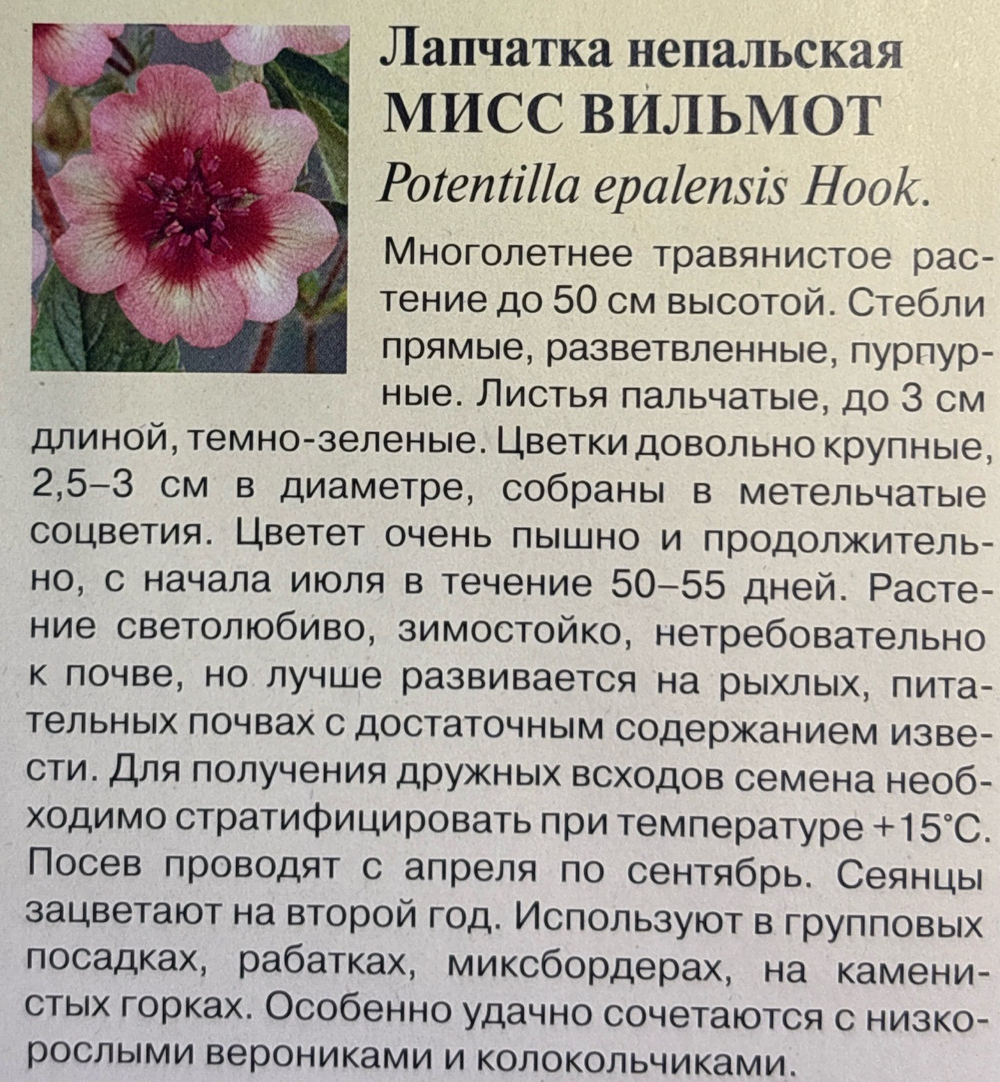 Лапчатка Мисс Виллмонт 0,01 г СМЦ-637