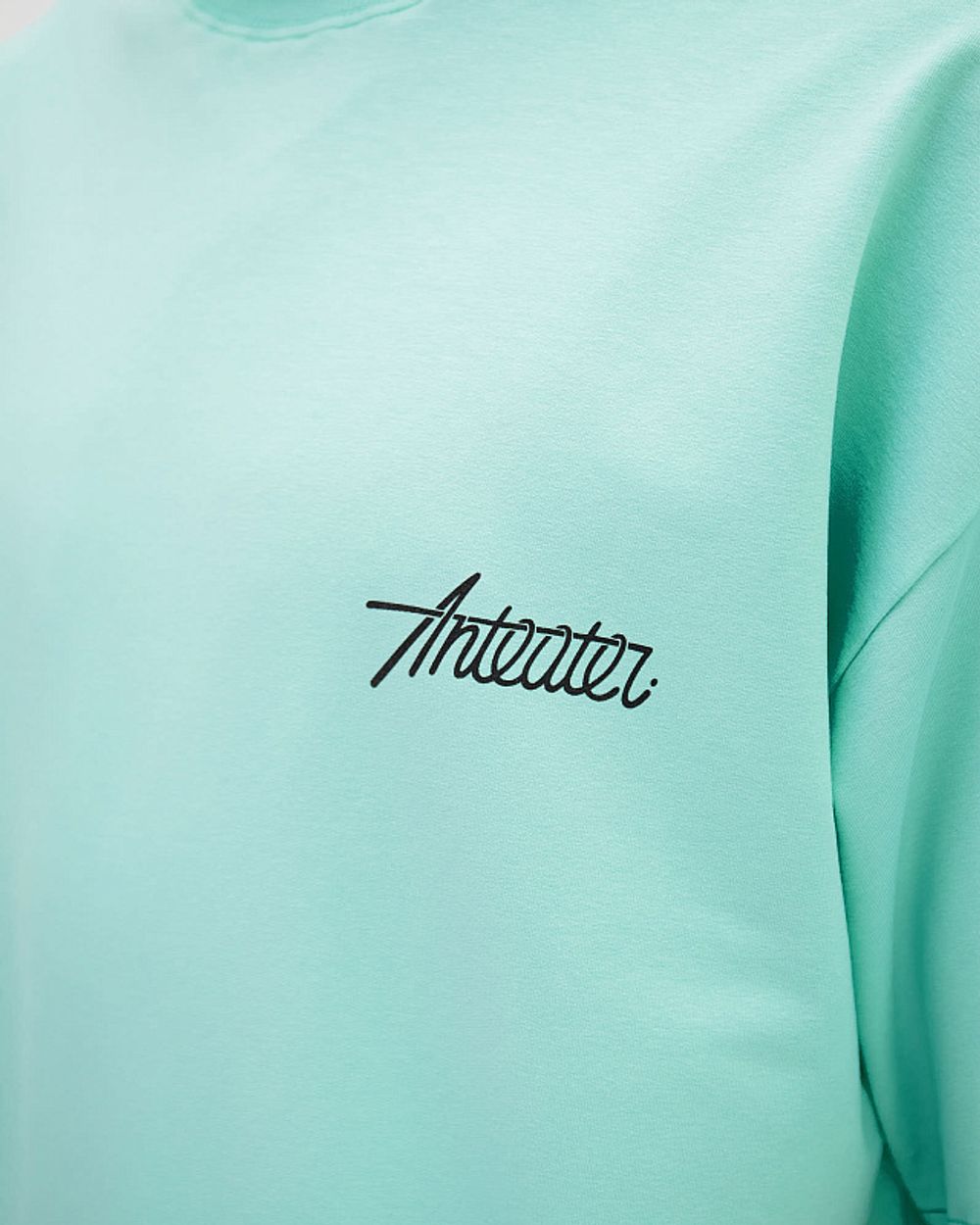 Футболка Anteater Phat 499 бирюзовая