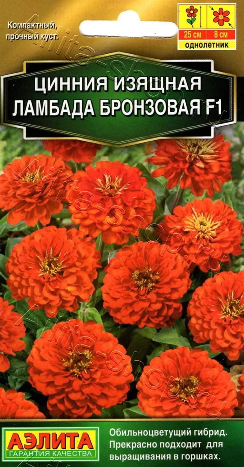 Цинния Ламбада F1 бронзовая 12шт (Аэлита)