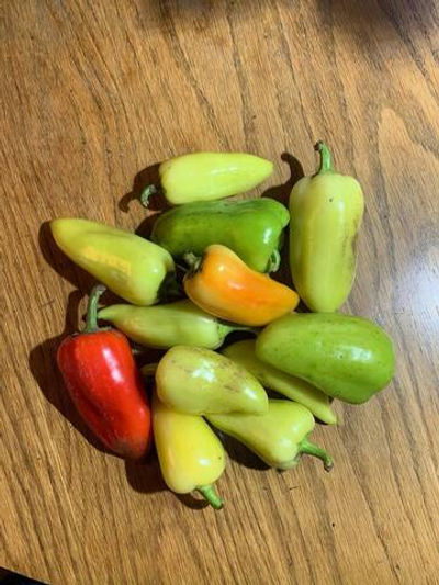 Перец сладкий зелёный