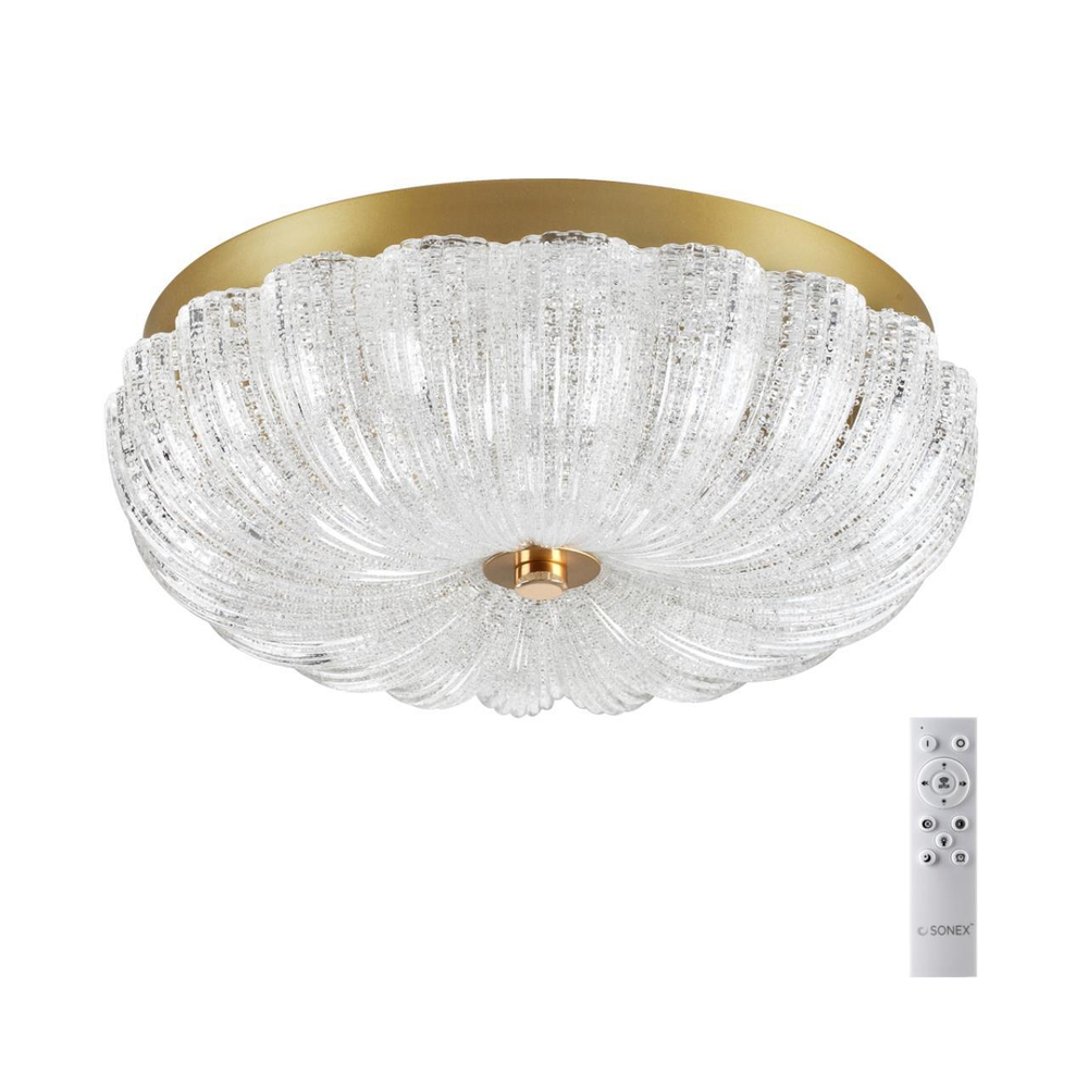 Потолочный светодиодный светильник Sonex TESORO 7719/36L