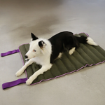 Лежак Air.Mat Zee.Dog