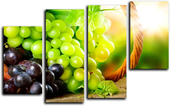 Модульная картина "Виноградный рай"