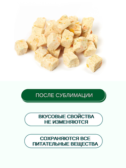 Wanpy Dog Сублимированное лакомство для собак "Курица и фрукты" 40 г