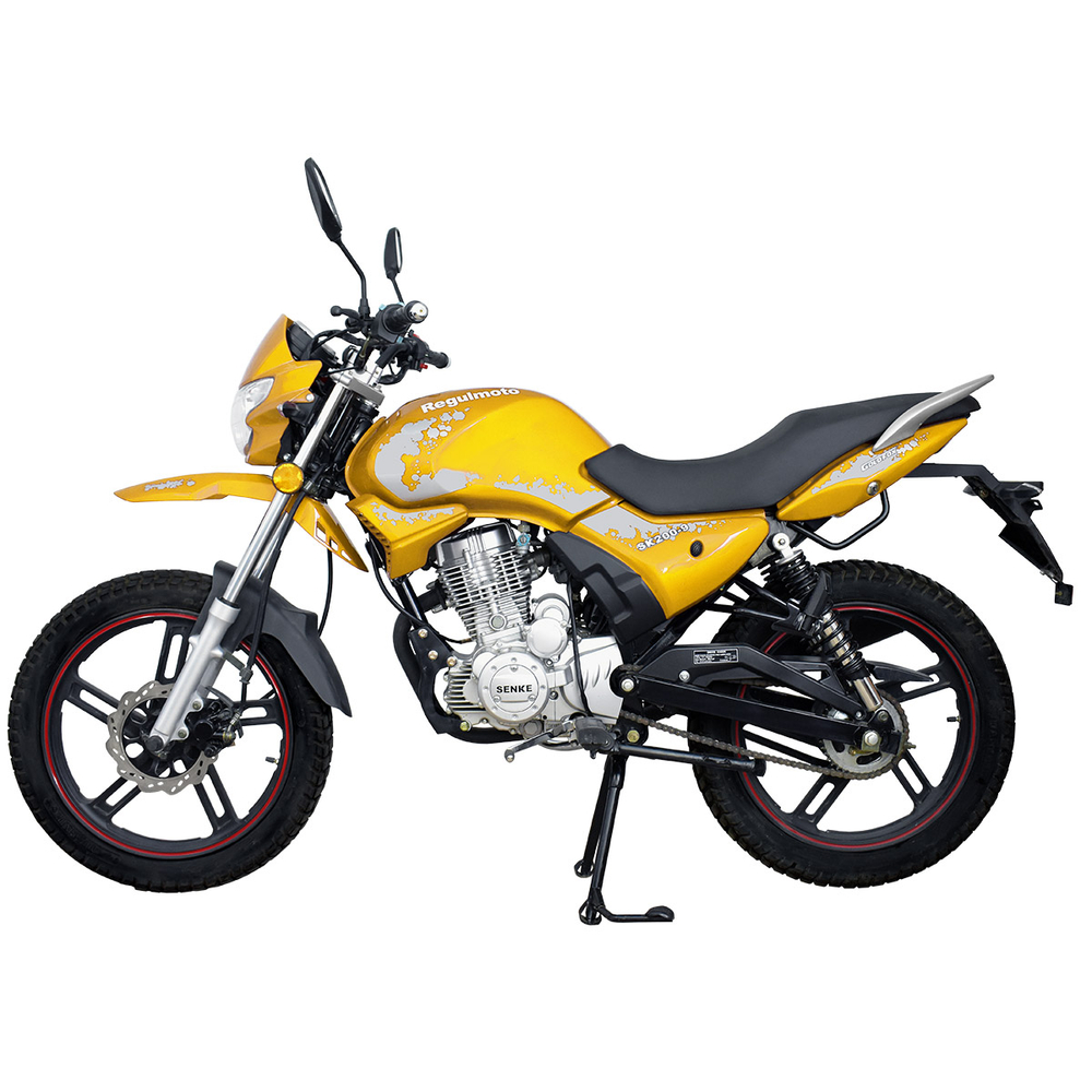 Мотоцикл Regulmoto SK200-9 с ПТС