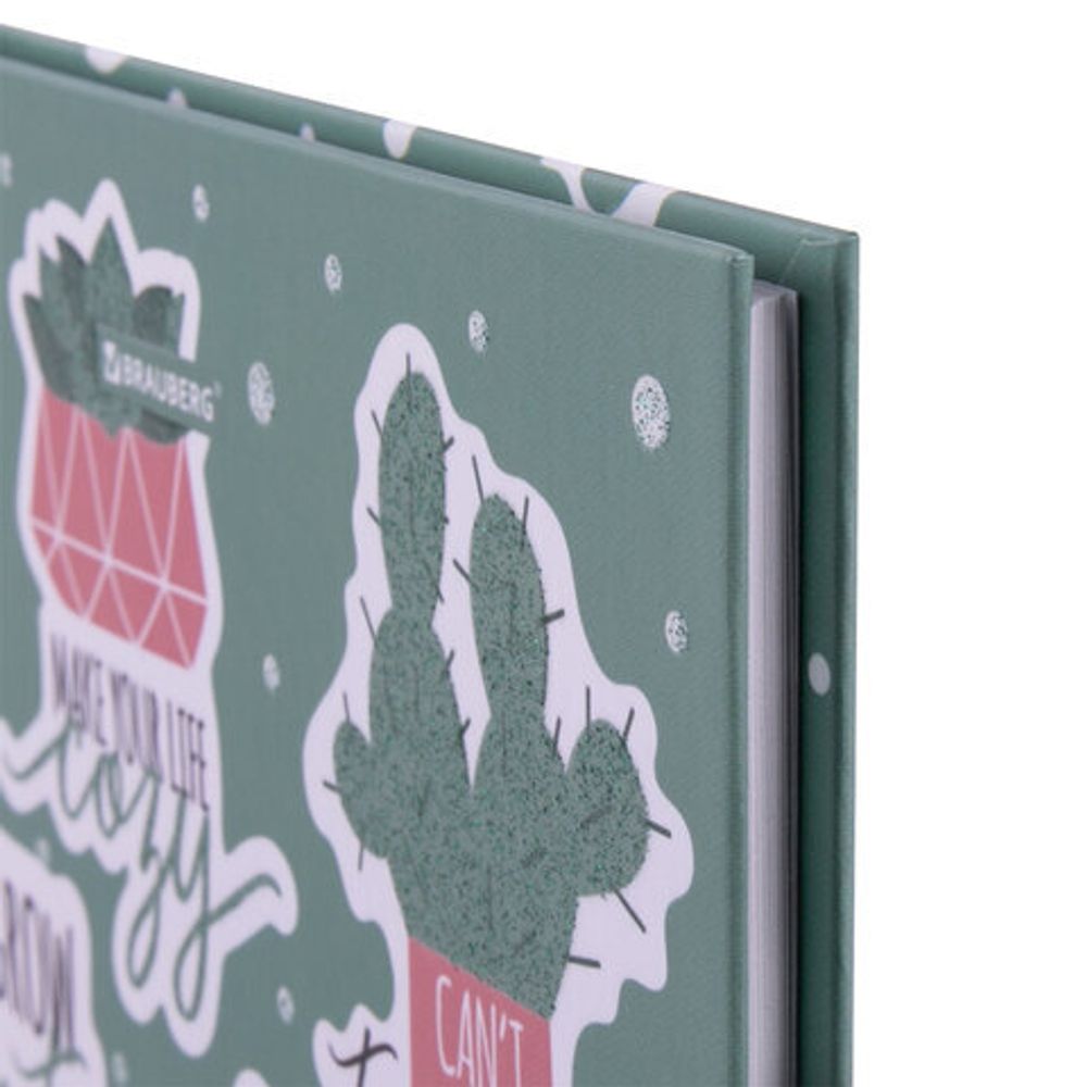 Дневник 5-11 класс 48 л., твердый, BRAUBERG, блестки, с подсказом, "Кактусы", 106420