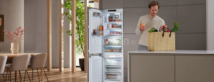 Встраиваемый холодильник Miele KFN 7795 C