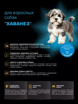 Корм сухой для собак породы Хаванез, с лососем, 2,5 кг