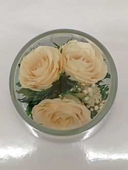 натуральные цветы в стекле, вакуум