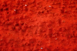 Фибровый шлифовальный круг по металлу DEBEVER 125 мм P40 (со шлицами), керамическое зерно, 5 шт