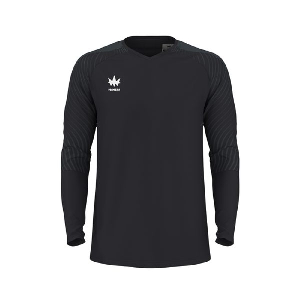 Свитер вратарский Evolution GK Jersey L/S — Black/anthracite