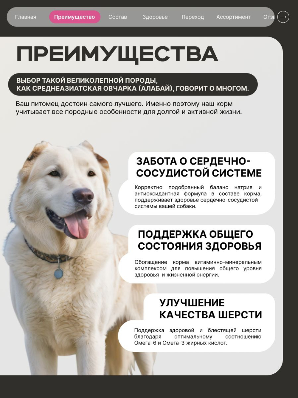 Корм сухой для взрослых собак породы Среднеазиатская овчарка (Алабай), премиум полнорационный комплекс, с говядиной, 12 кг, QUATTRO