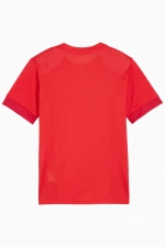 Футболка Puma teamGOAL Matchday Junior - красный