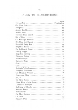 Show Pomeranians | Lilla Ives