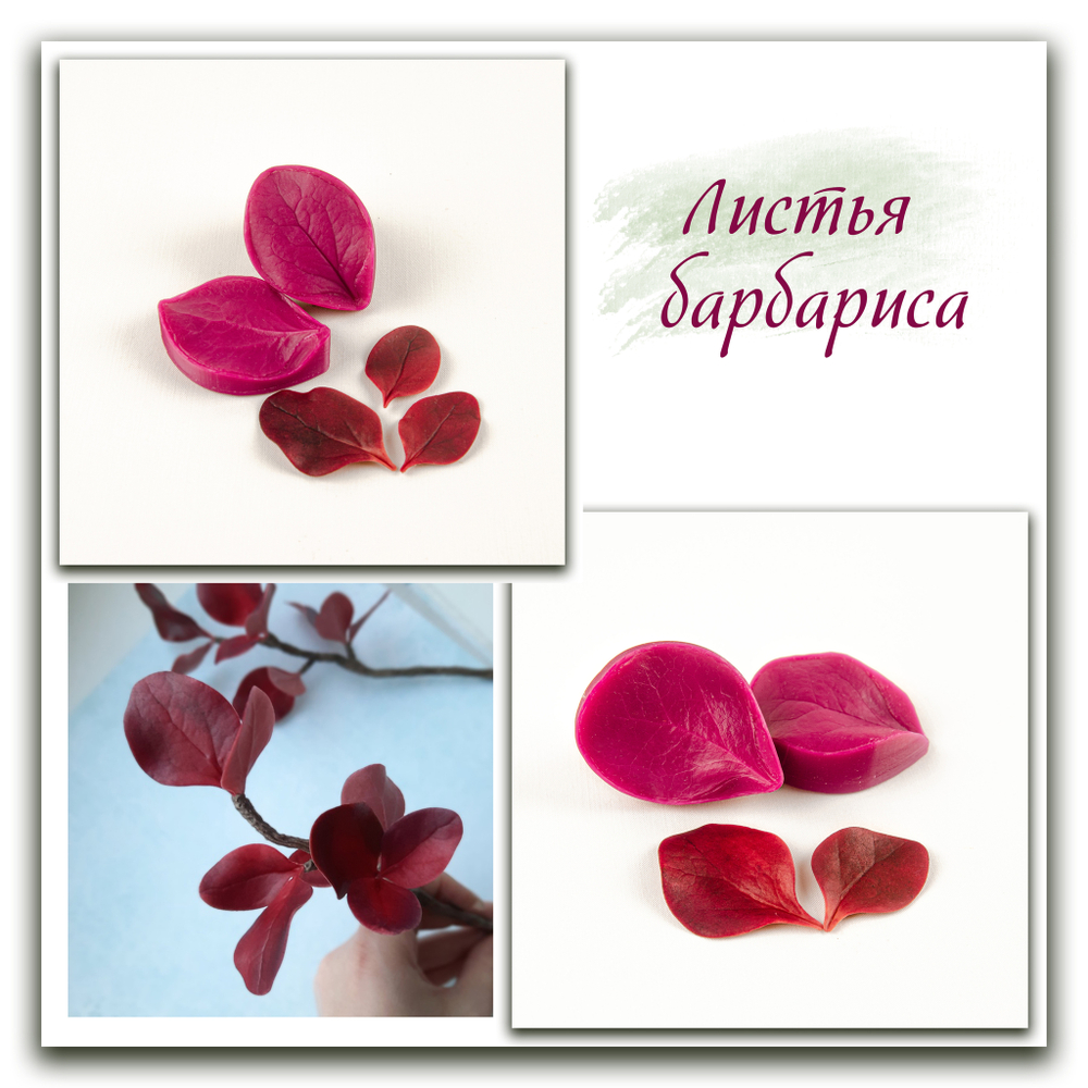 Силиконовые вайнеры молды барбариса, молды для мастики