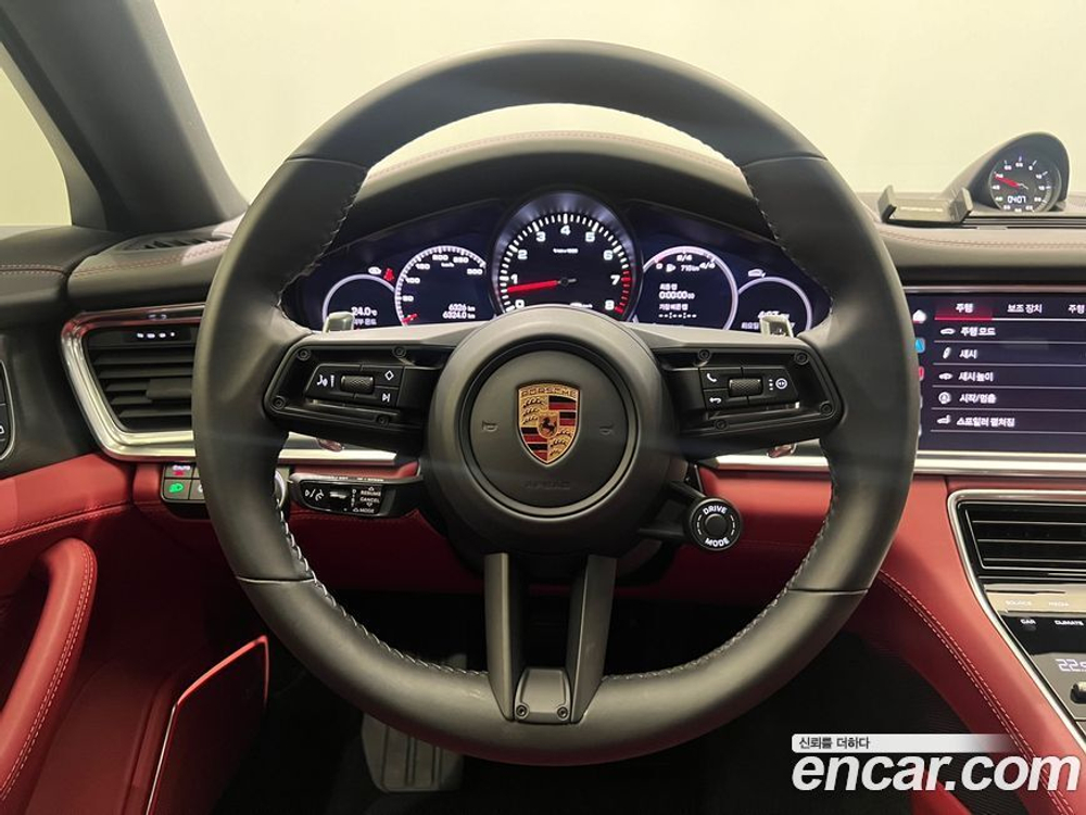 Porsche Panamera (971) 2.9 AWD Platinum Editions (07.2022)