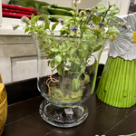 Анютины глазки