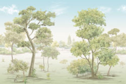 Коллекция Лес