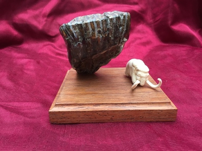 Мамонт у зуба