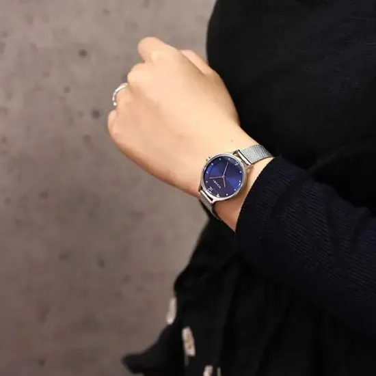 Наручные часы Skagen SKW2307