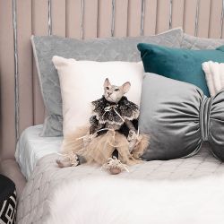 Кукла коллекционная Кошка Иветт