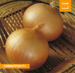 Симаррон F1 семена лука репчатого (Nunhems / Нюнемс)