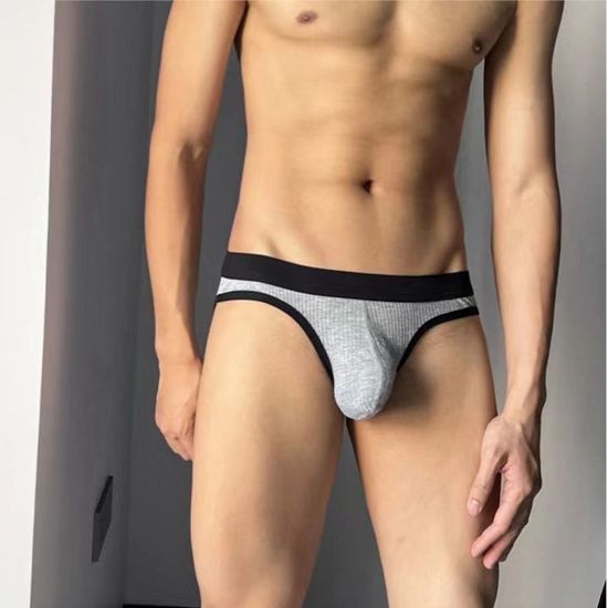 Мужские трусы брифы серые Romeo Rossi RR2081-3