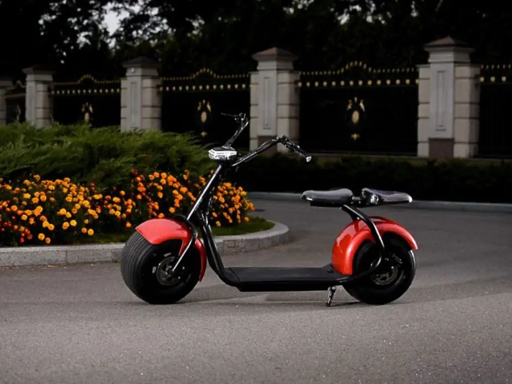 Электросамокат El-sport Citycoco 1500W 60V, 20Ah