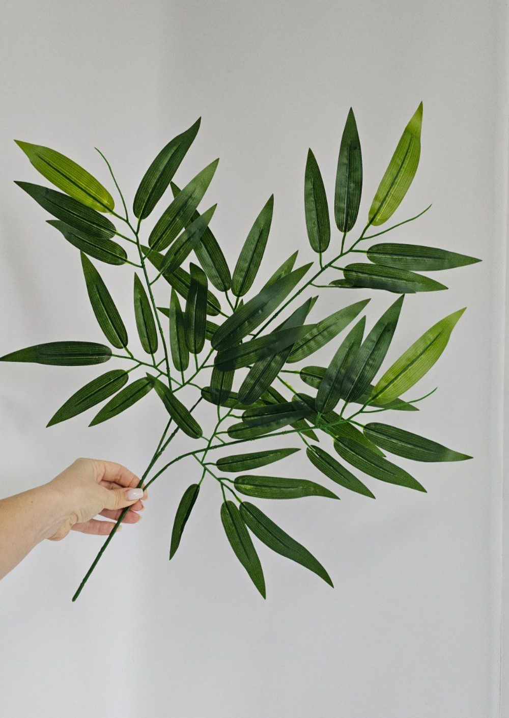 Бамбук крупный лист / Арт 1030