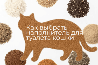 Как выбрать наполнитель для туалета кошки: обзор типов, преимущества и рекомендации