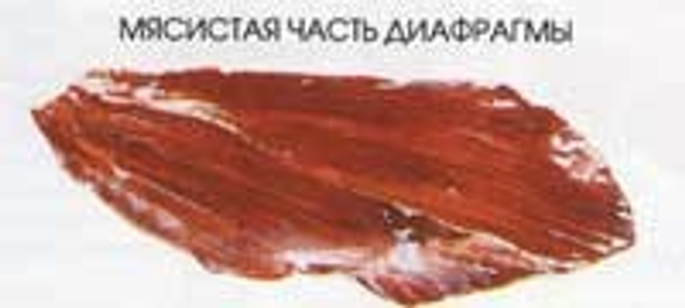 Мясо говядины - диафрагма