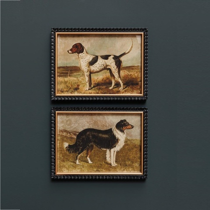 Набор из 2-х Постеров собаки 40х30 см 40837