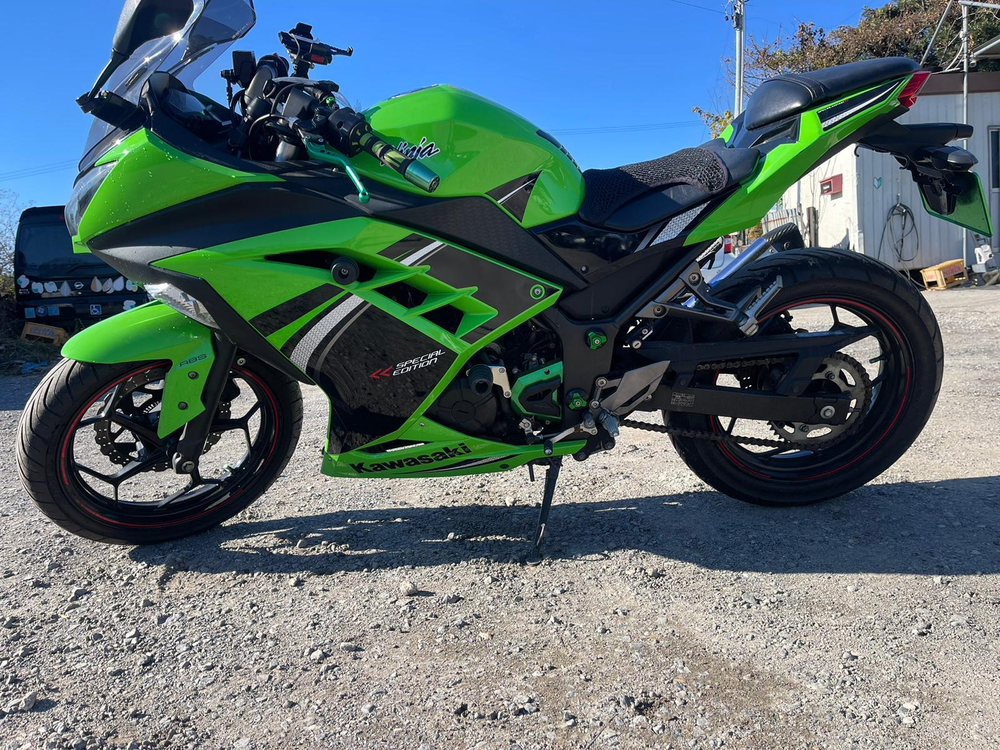 Kawasaki Ninja 250 A 039582