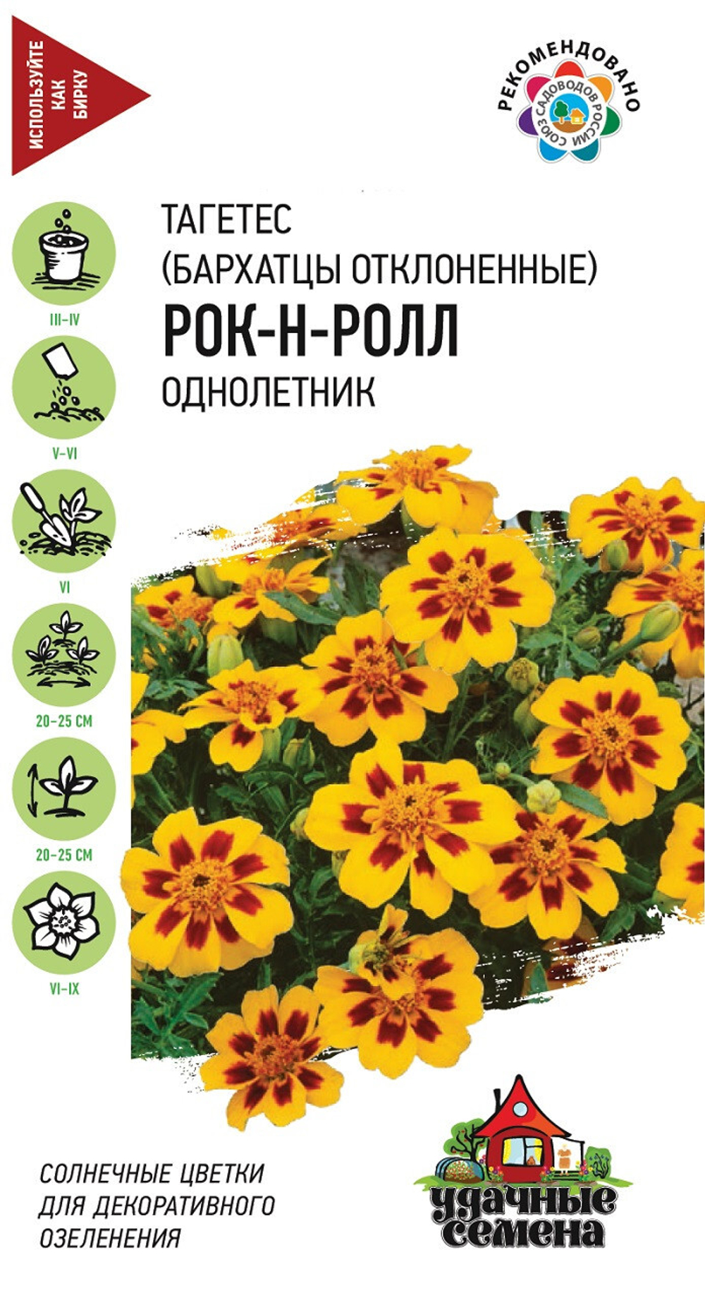 Бархатцы отклоненные Рок-н-ролл