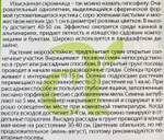 Гипсофила Изящная Розовая 0,3 г СМЦ-963
