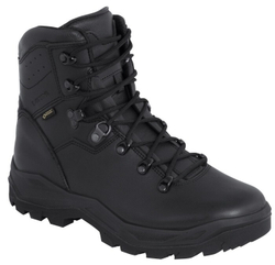 Ботинки Lowa R-6 GTX TF Black