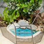 Флорариум бонсай Мирсина Айсберг с озером