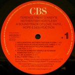 Terence Trent D'Arby / Neither Fish Nor Flesh (A Soundtrack Of Love, Faith, Hope, And Destruction)(LP)