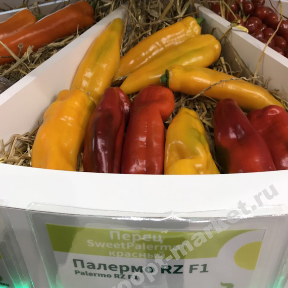 ПАЛЕРМО F1 семена перца сладкого (Rijk Zwaan | Alexagro) – фото 7
