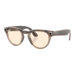 Очки RayBan LOW BRIDGE FIT HEADLINER AI, RW4009F