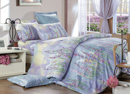 Постельное белье СайлиД B-143 сатин