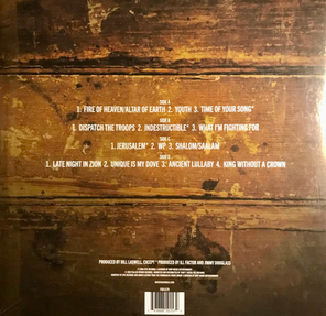 Matisyahu / Youth (2LP)