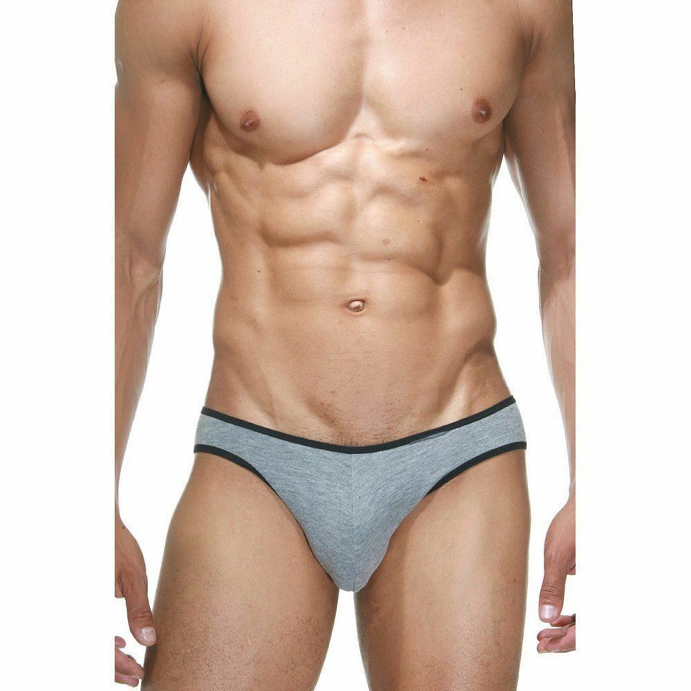 Трусы мужские слипы серые DARKZONE DZN6503