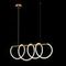 Подвесной светильник LOFT IT Thread 10388P/A Brass
