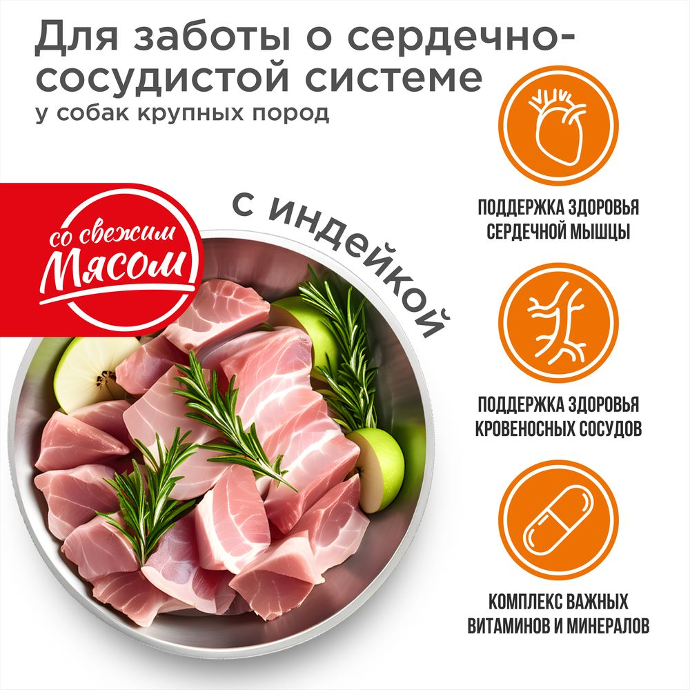 Корм сухой для взрослых собак крупных пород, премиум полнорационный комплекс, для заботы сердечно-сосудистой системы, с индейкой, 12 кг, QUATTRO