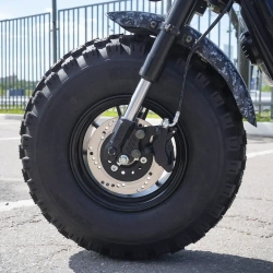 EcoMoto Lion Off-Road E1200W Back Edition