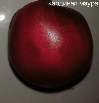 ГНОМ КАРДИНАЛ МАУРА