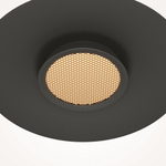 Подвесной светильник Maytoni MOD041PL-L15B3K1